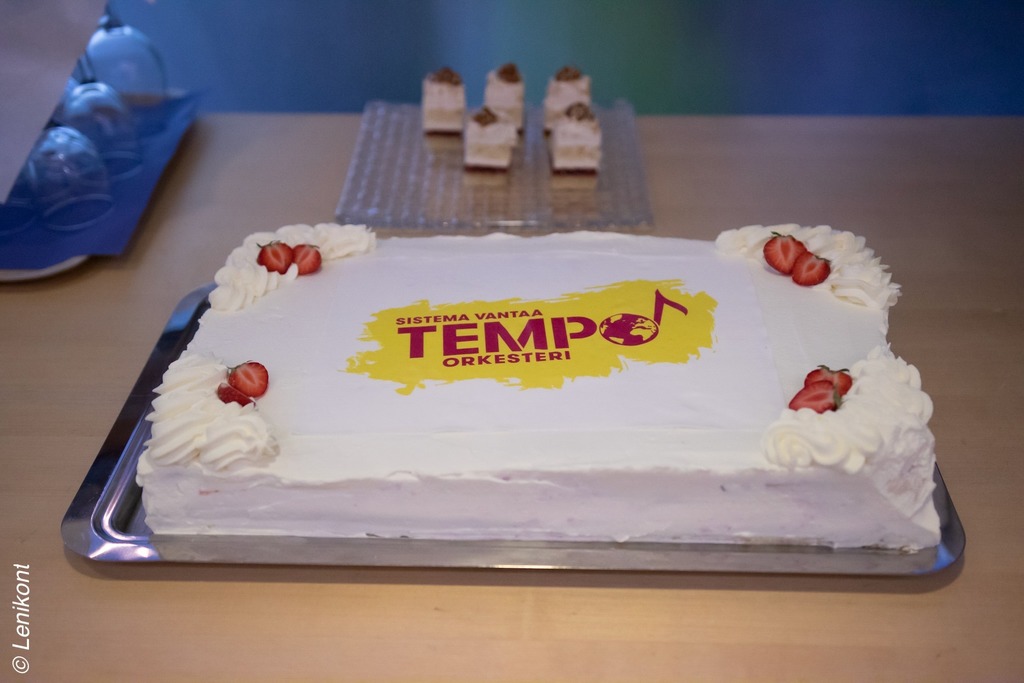 Picture of the Tempo birthday cake